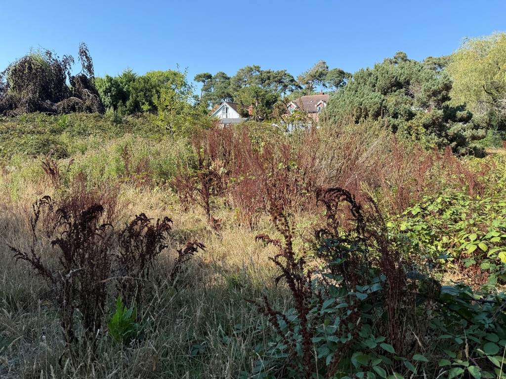 Lot: 17 - BUILDING PLOT IN SOUGHT AFTER EAST SUSSEX VILLAGE - View towards neighbouring properties